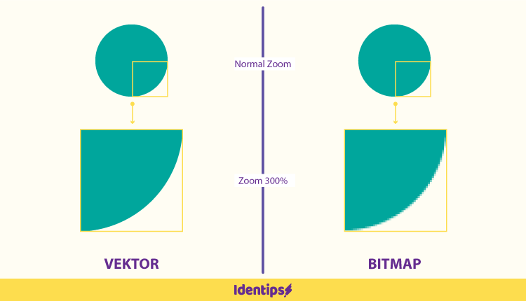 Perbedaan Umum Bitmap dan Vektor