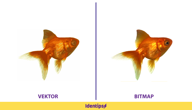 Jenis Gambar yang Dihasilkan Bitmap dan Vektor